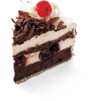 cake slice cake slice
